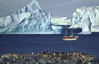 Eyewitness to Climate Change: Melting Ice & Rising Seas / David Thoreson