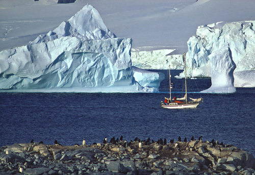 Eyewitness to Climate Change: Melting Ice & Rising Seas / David Thoreson